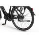 Rower elektryczny Ecobike LX 19" (2023)
