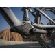 AMFLOW PR CARBON PRO 800
